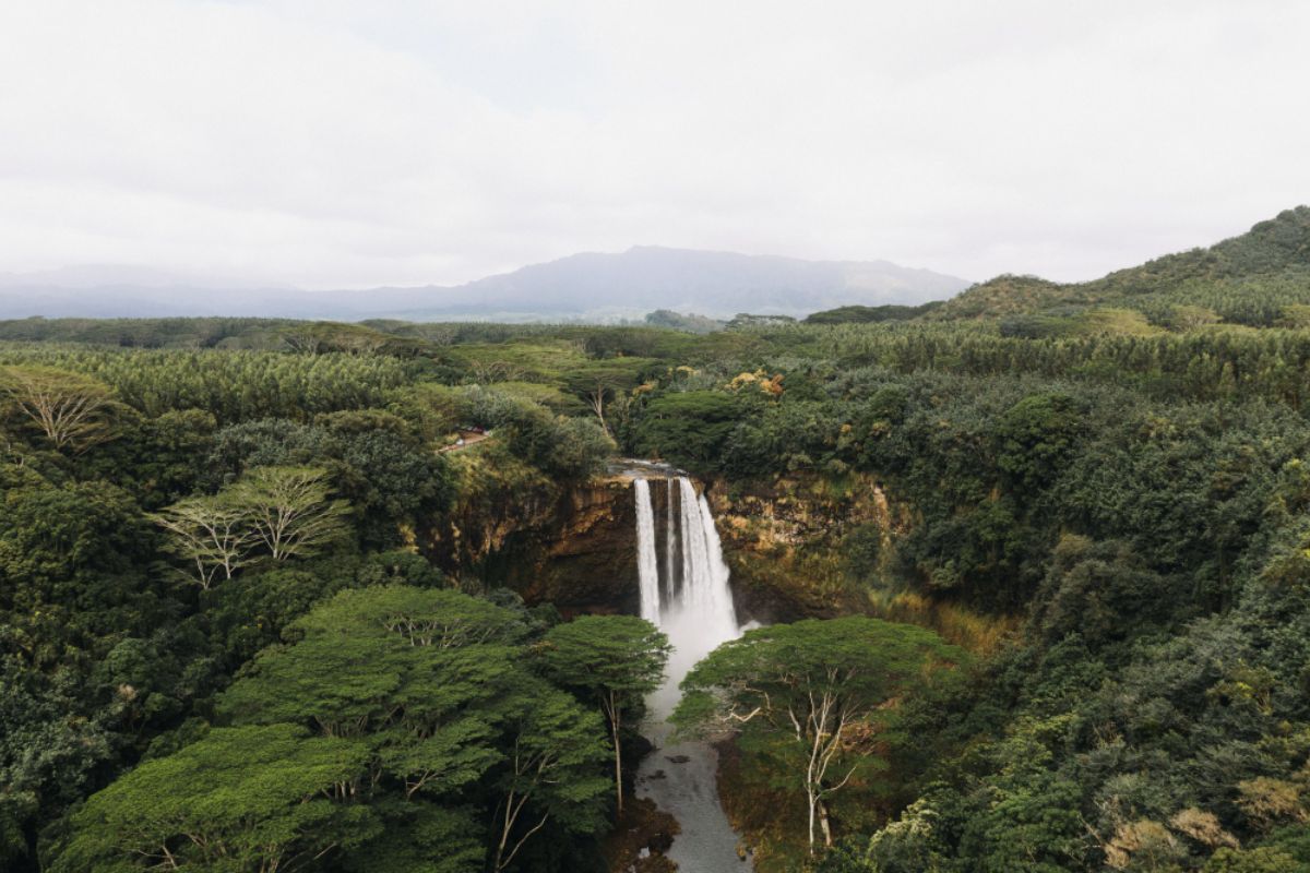 Olango Island Wildlife Sanctuary