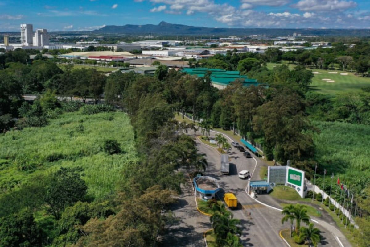 How Do Industrial Parks Impact Local Economies?
